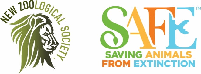 NEW Zoological Society and Saving Animals From Extinction