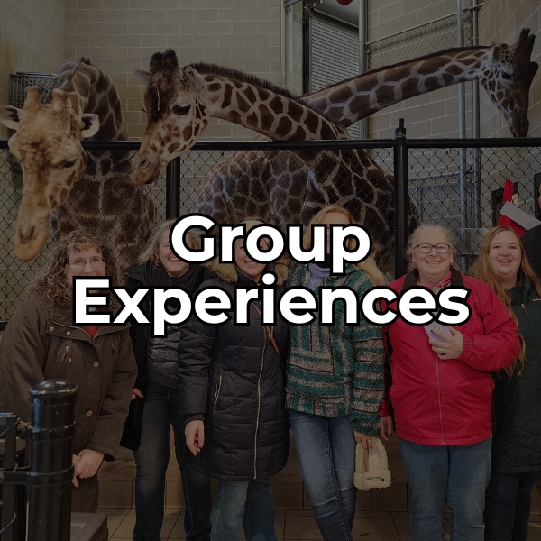 learn more about group experiences at the zoo