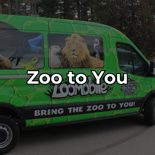 Bring the zoo to you with the zoomobile