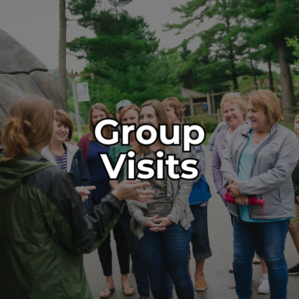 learn about group visits and tours