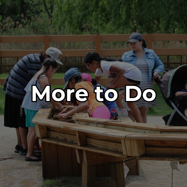 Find out what else the NEW Zoo has to offer