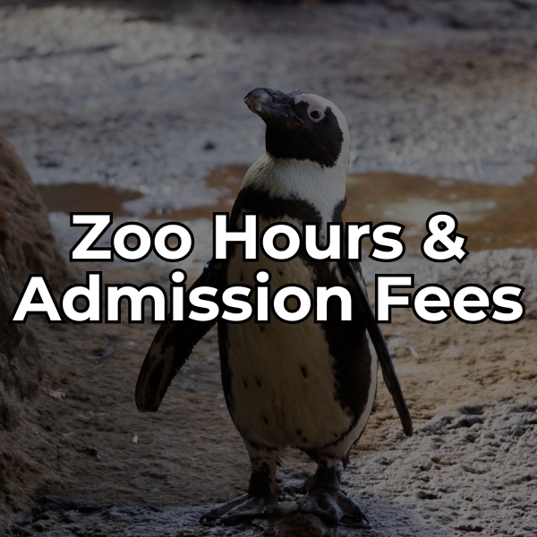 View our zoo hours and admission fees