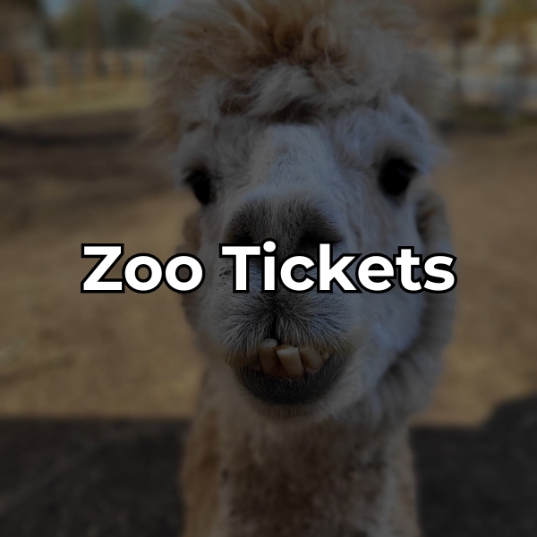 Purchase tickets for the NEW Zoo