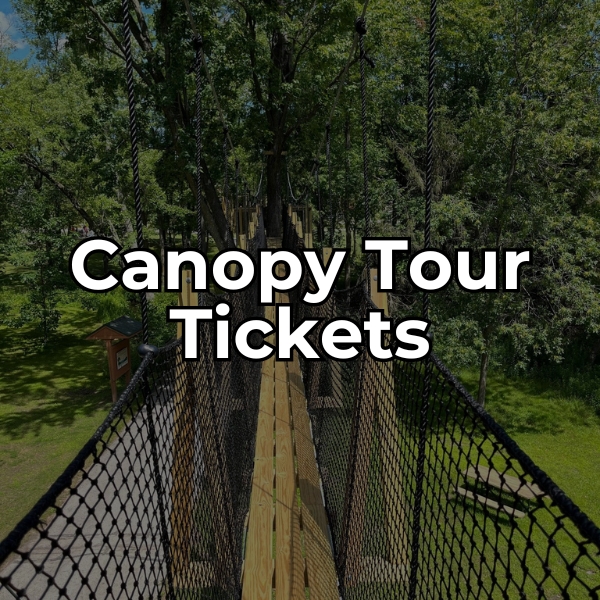 Learn about canopy tour tickets