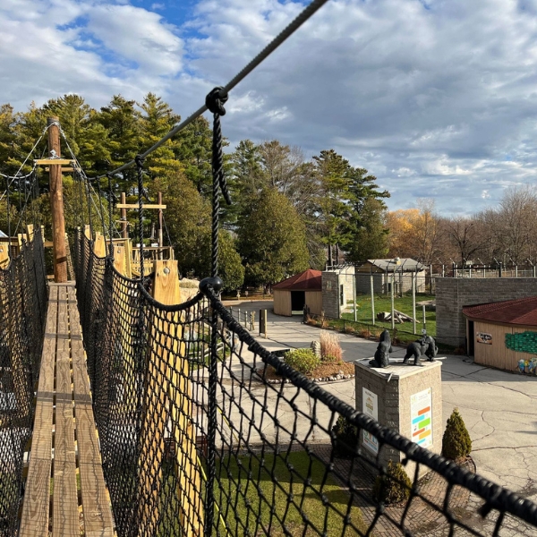 Standing on canopy tour, overlooking the lion yard