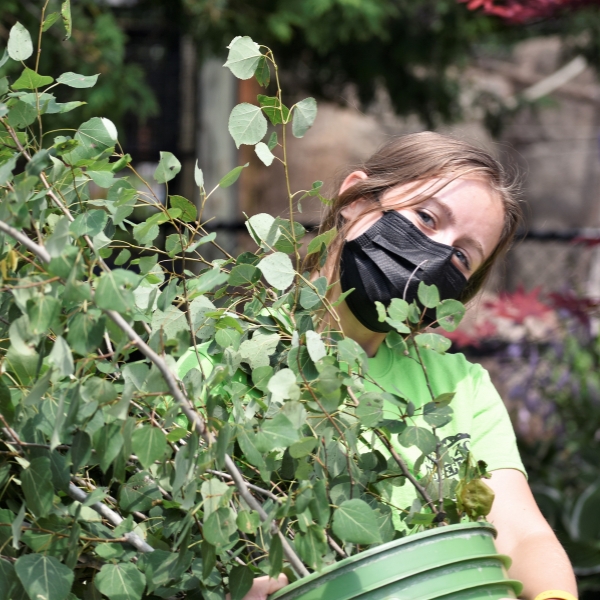 Intern holds leaf bundle