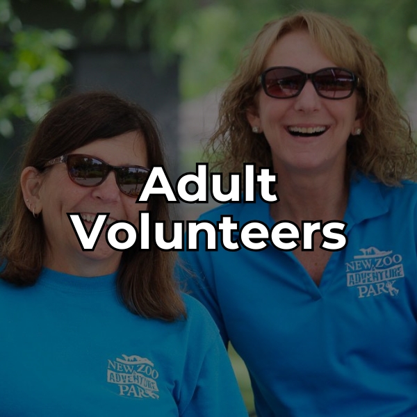 learn about adult volunteer opportunities