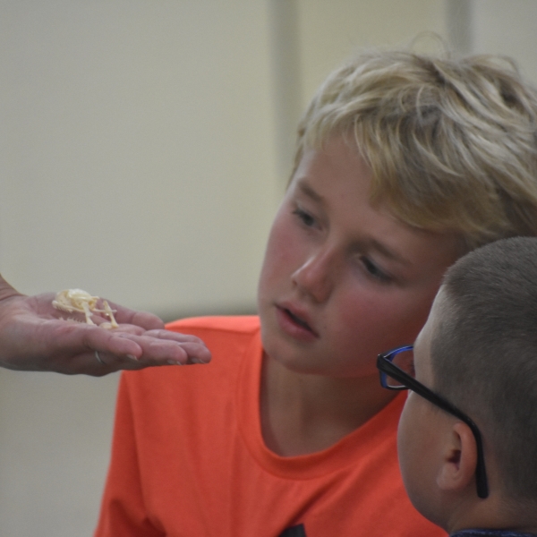 Boys look at snake skull replica held in hand