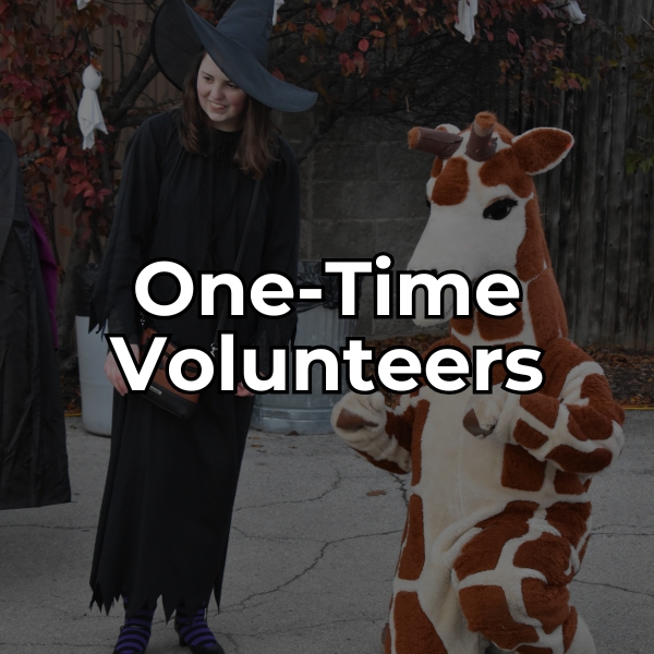 learn how you can help the NEW Zoo