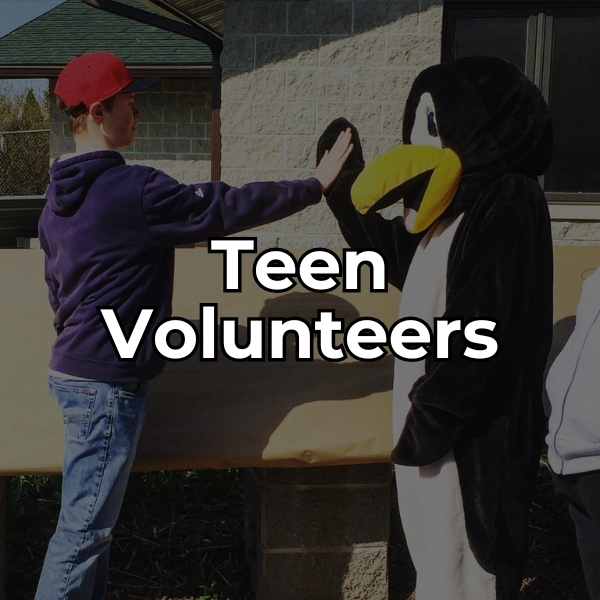 learn about teen volunteer opportunities