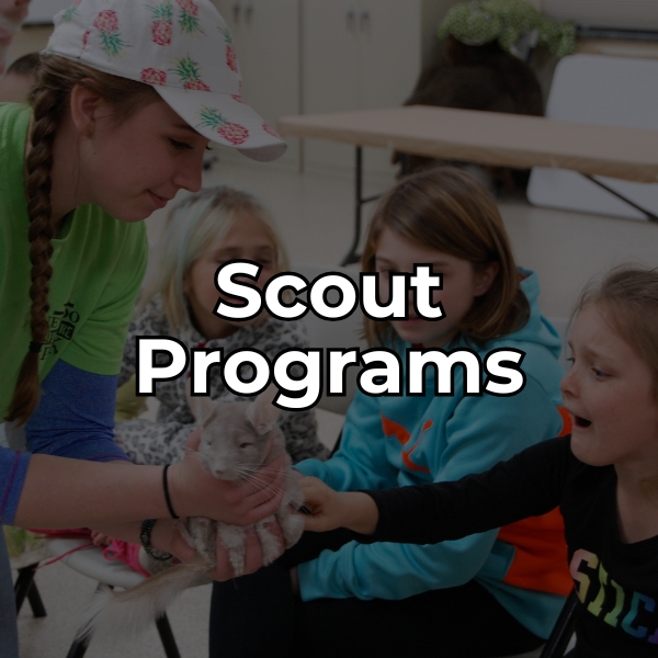 Click to learn about scout programs