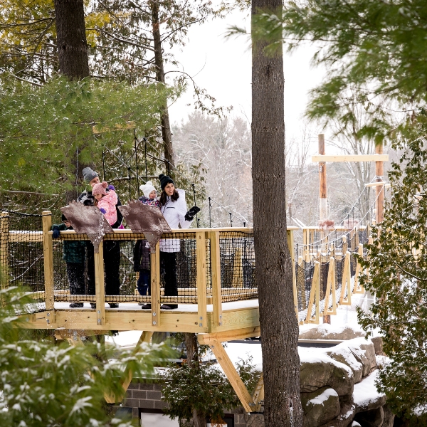 four people stand on Canopy Tour platform in the snow