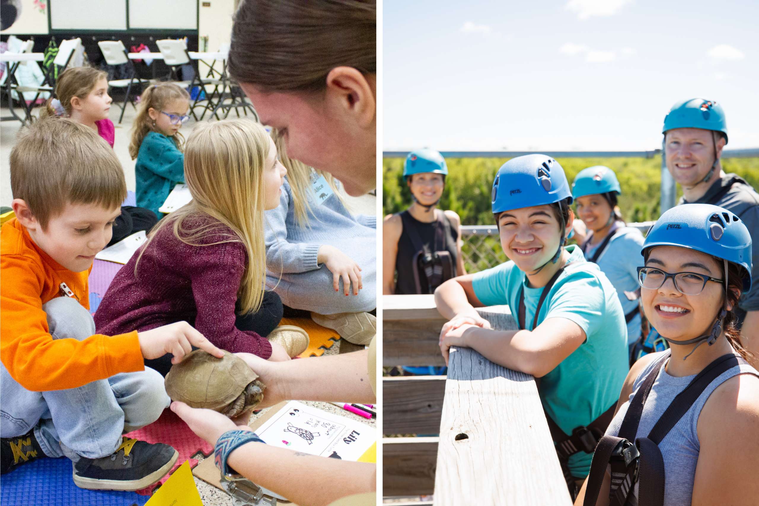 Young boy touches a turtle and kids smile at the top of the zip line platform