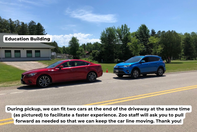 Two cars are parked one behind the other at the end of the back driveway to the Education building. Text overlay reads "During pickup, we can fit two cars at the end of the driveway at the same time (as pictured) to facilitate a faster experience. Zoo staff will ask you to pull forward as needed so that we can keep the car line moving. Thank you!"
