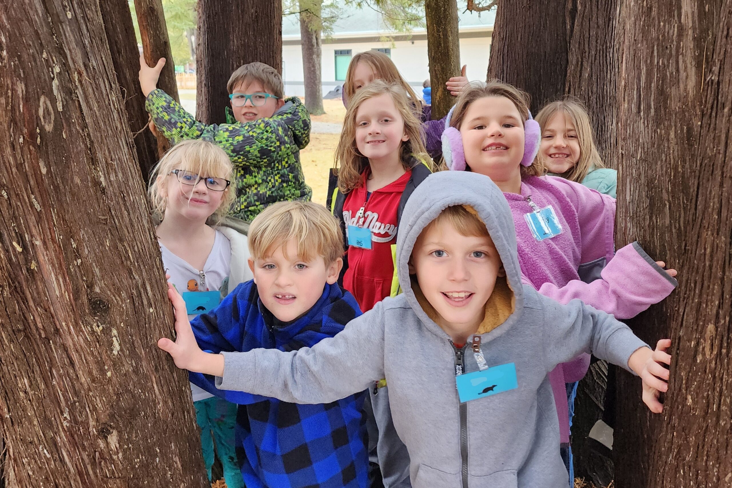 A group of happy, smiling elementary students peer out from between cedar tree trunks